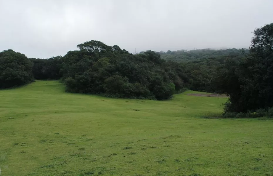 The Club Mahabaleshwar