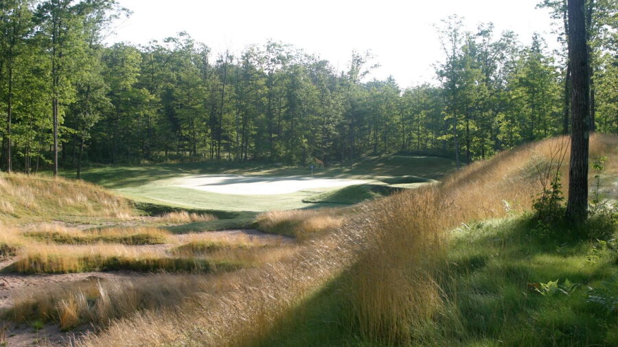 Big Fish GC: #16