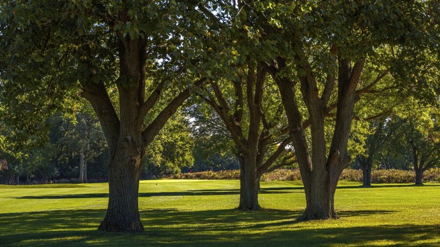Indian Boundary GC: #12