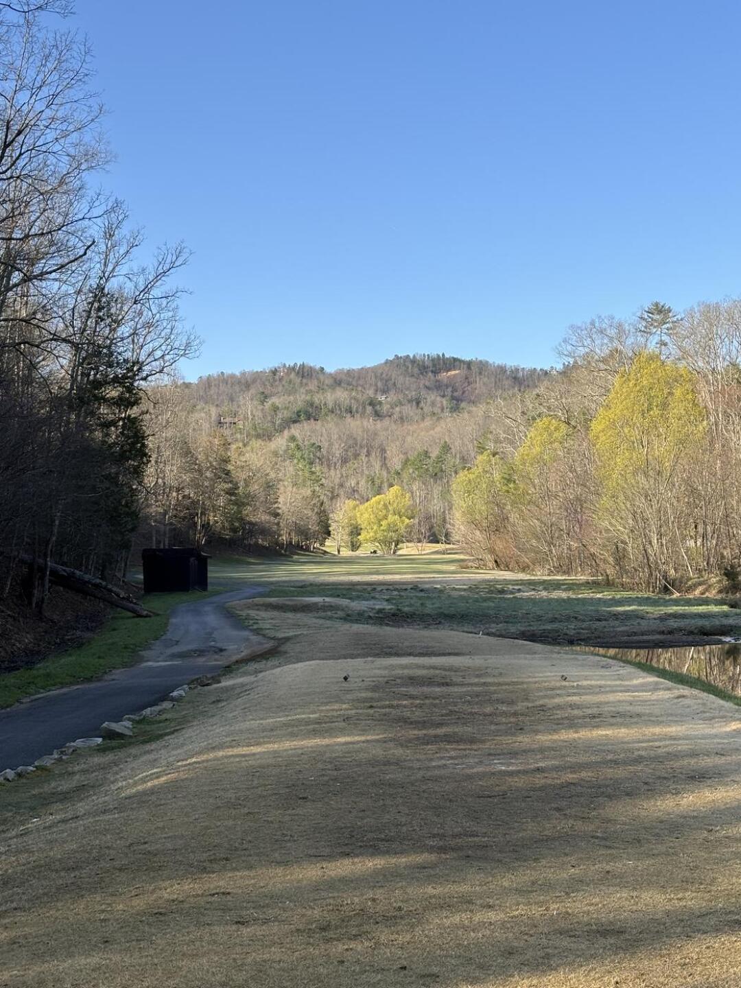 (Photo submitted by cookda on 03/24/2025)