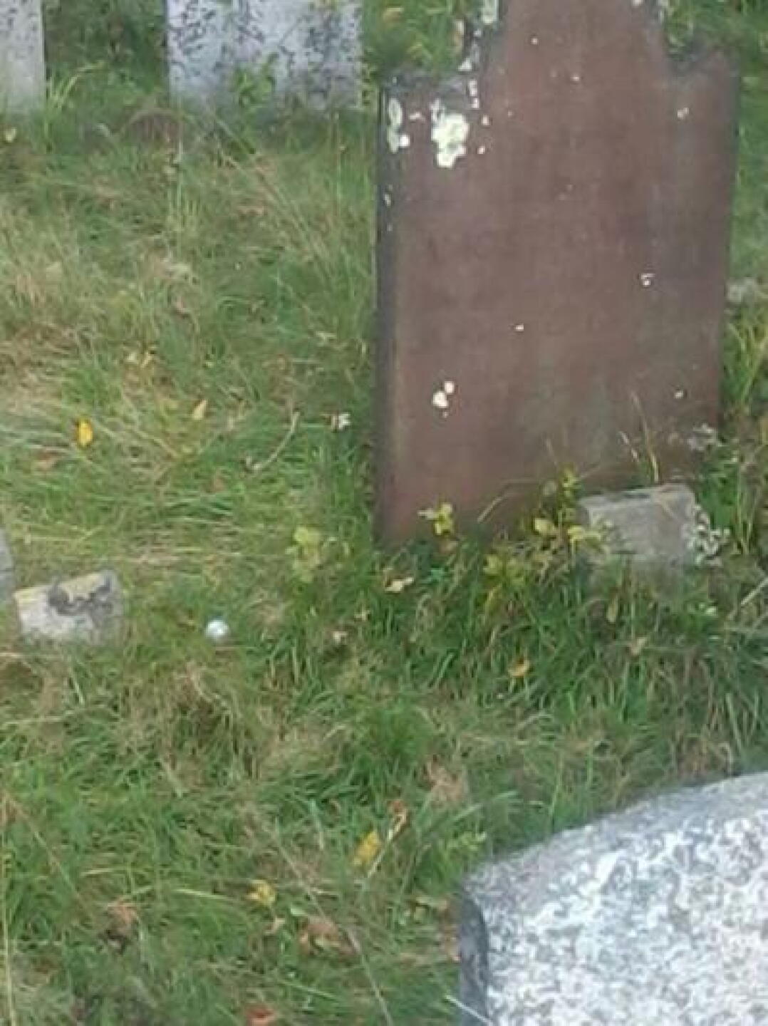 A grave situation. (Photo submitted by bbop59 on 09/28/2013)