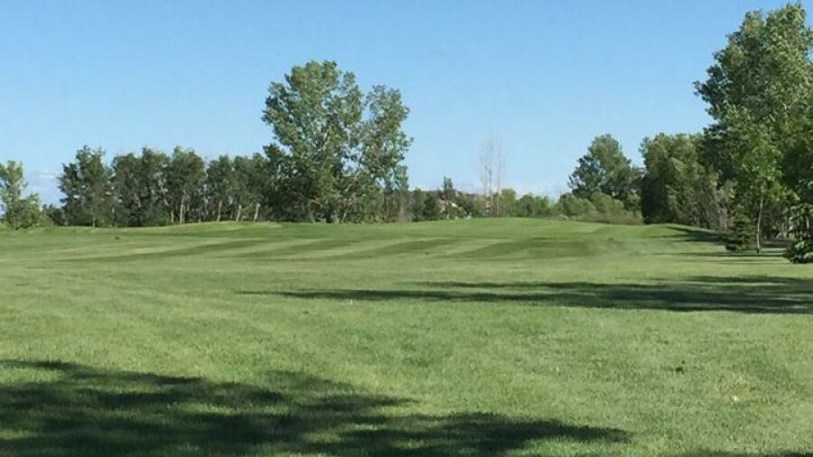 Carlyle GCC