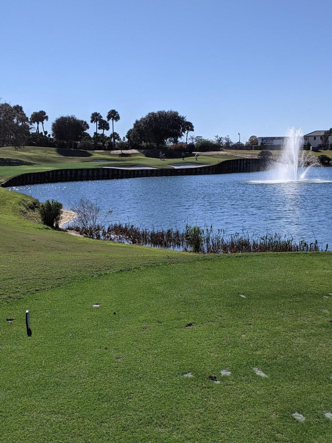 #16 --12' Birdie missed (Photo submitted by DAB4par on 01/29/2021)