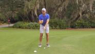 Automatic Chipping Motion