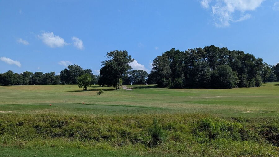 Reynolds GC