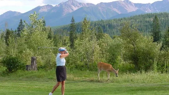 Golden Golf Club - wildlife