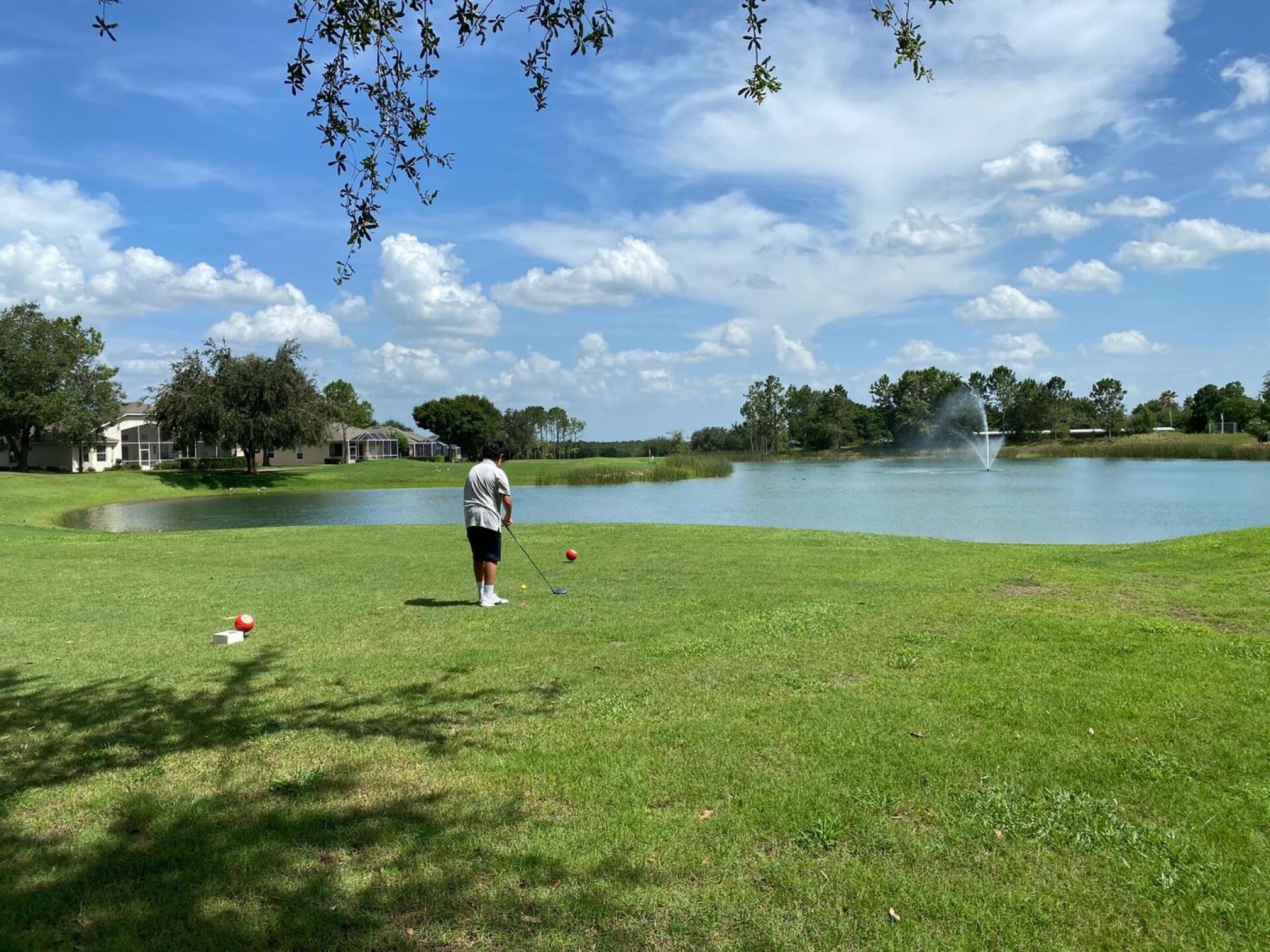 (Photo submitted by u314159282175 on 07/12/2020)