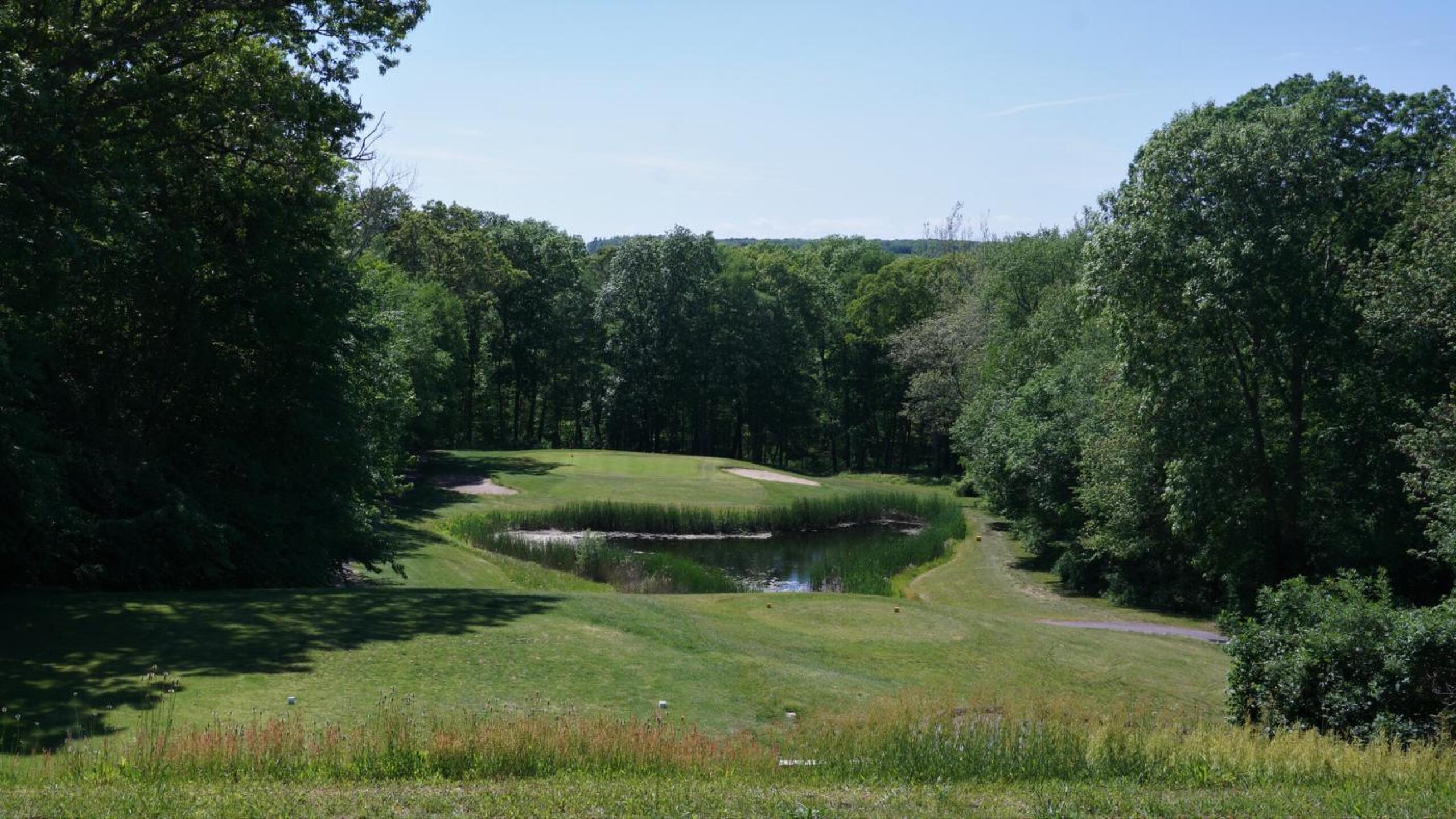 Drama: Hole five descends about four stories from its tee. A marshy pond guards a green set among dense woods. (Photo submitted by AptlyLinked on 05/25/2021)