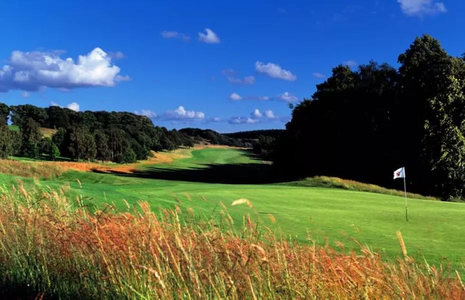 Waterton Park GC: #8