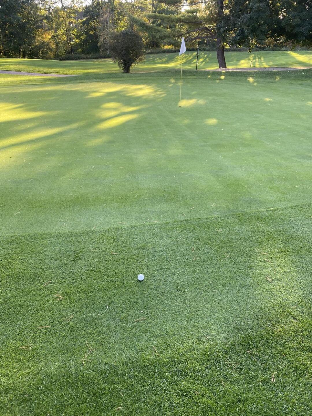 (Photo submitted by McQ50 on 10/06/2023)