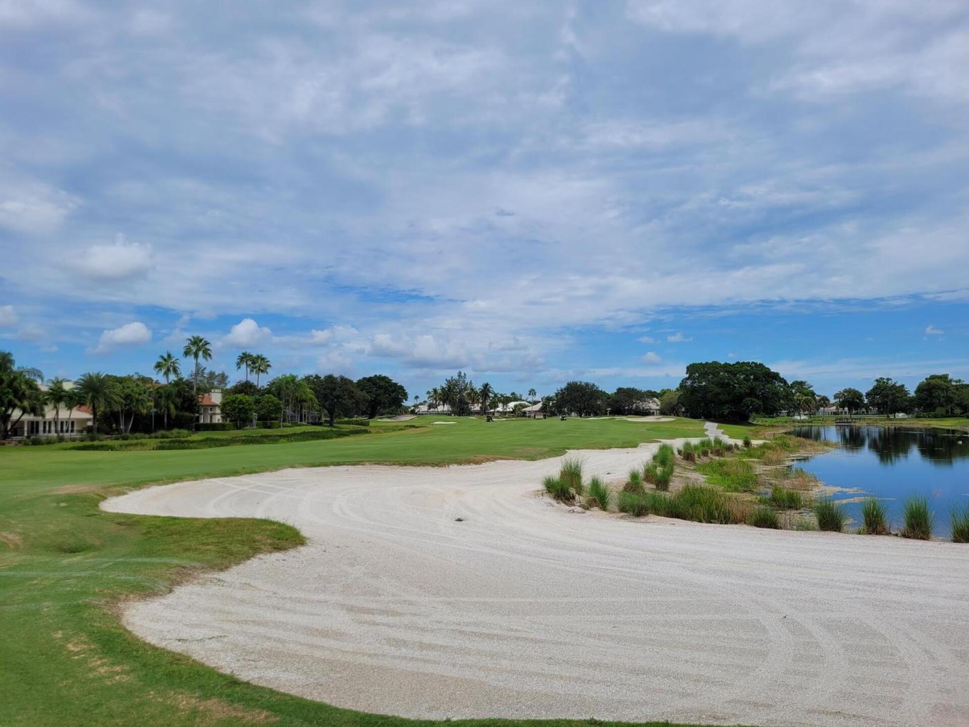 (Photo submitted by tiburonazo on 08/15/2022)