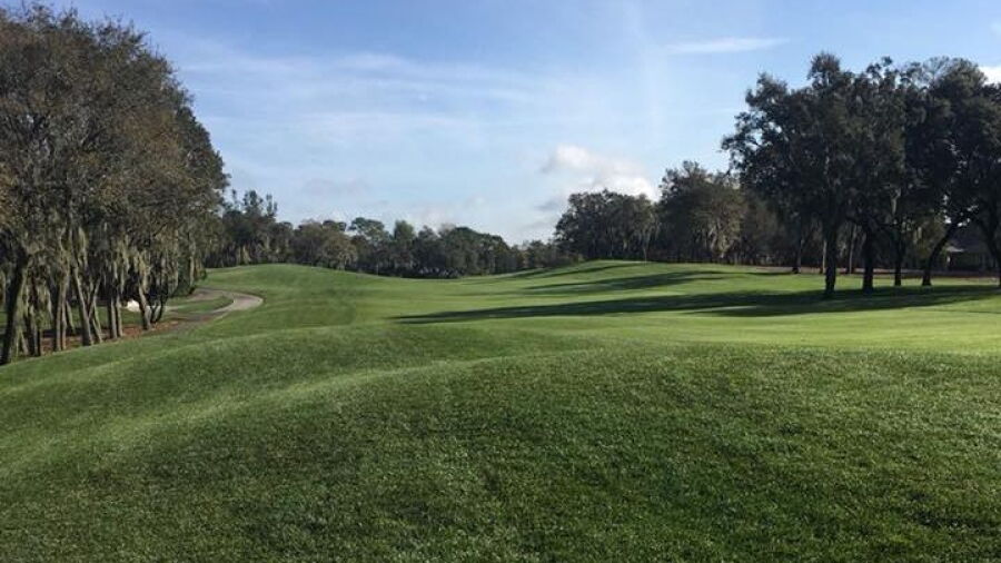 Timber Pines - The Grand Pines: #14
