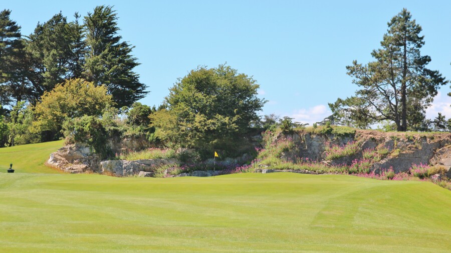 Cork Golf Club - hole 8
