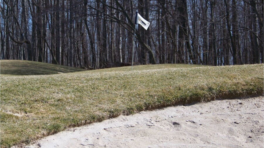 Southern Meadows Par Four