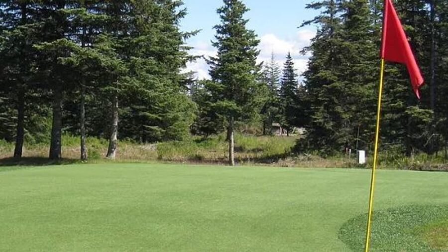 Fireweed Meadows GC