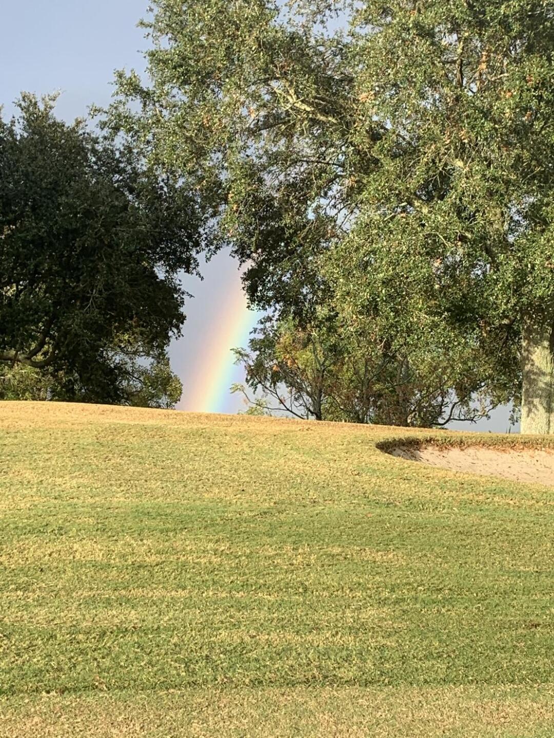 (Photo submitted by AncientOaks on 11/06/2022)