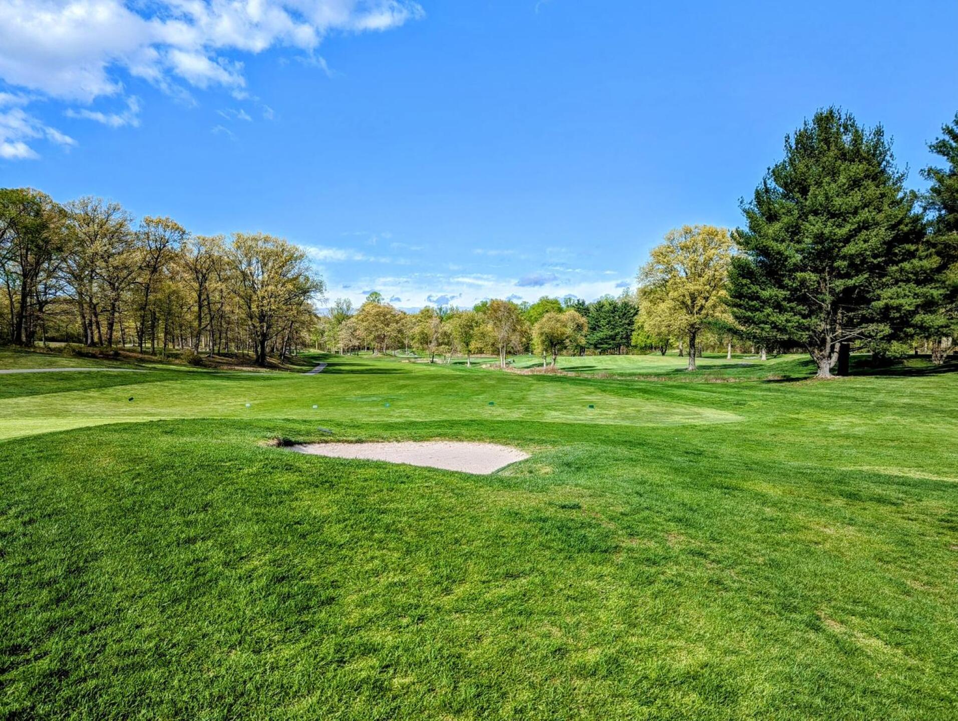 (Photo submitted by synergy91476 on 04/25/2023)