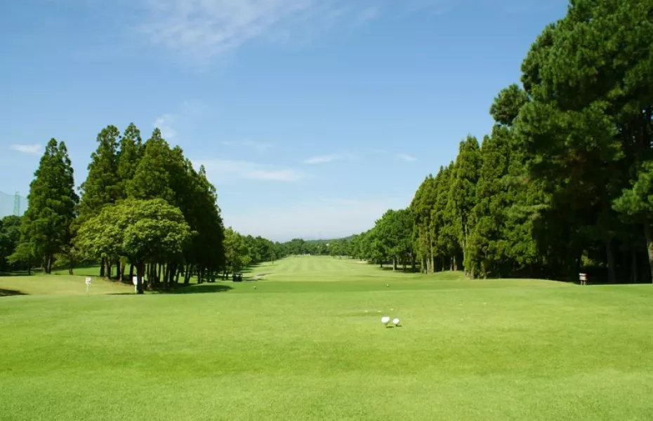 Greenland Resort GC - White: #2