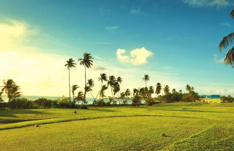 Tobago Plantations Beach & Golf Resort - Plantations