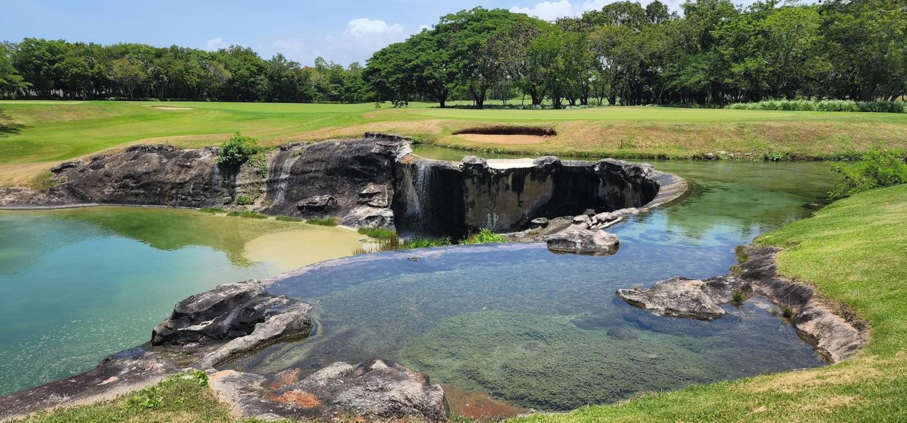 (Photo submitted by u314160900671 on 06/12/2022)