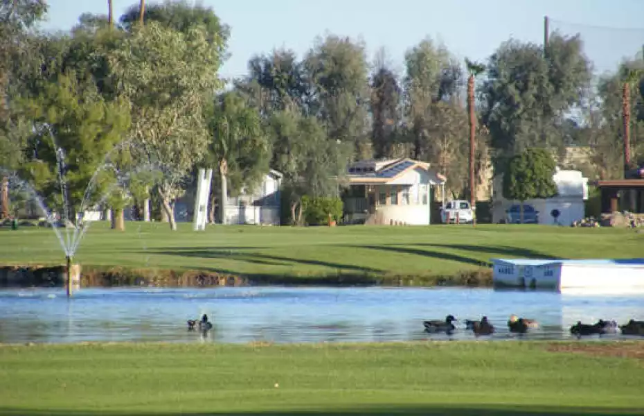 Desert Trail RV Resort & GC