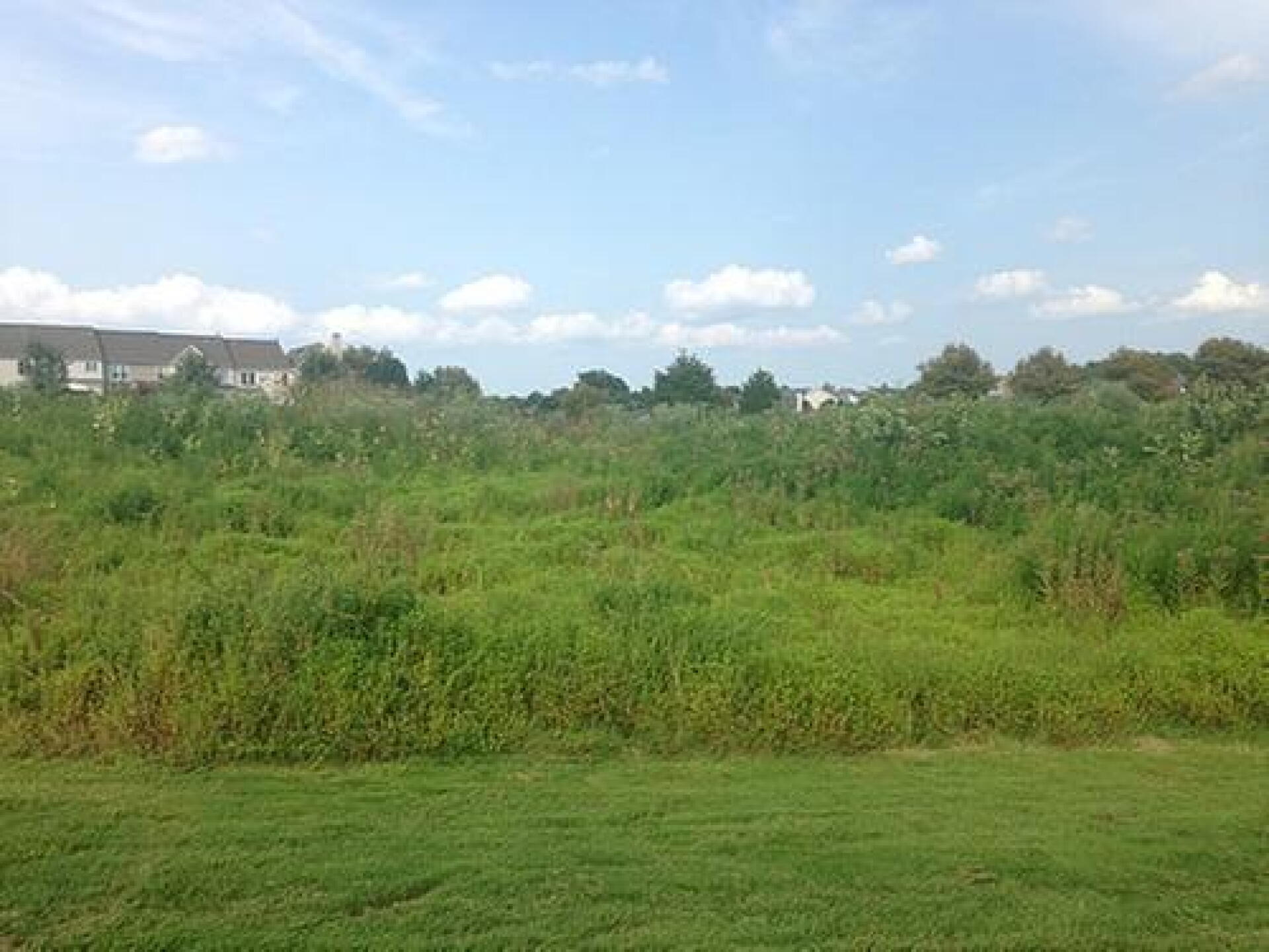 Beautiful Greens & Flowers (Photo submitted by BenThapa on 08/15/2018)