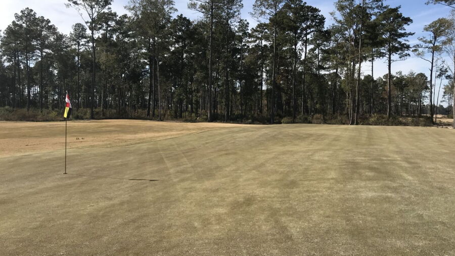Grand Oaks Reserve - Nine Grand
