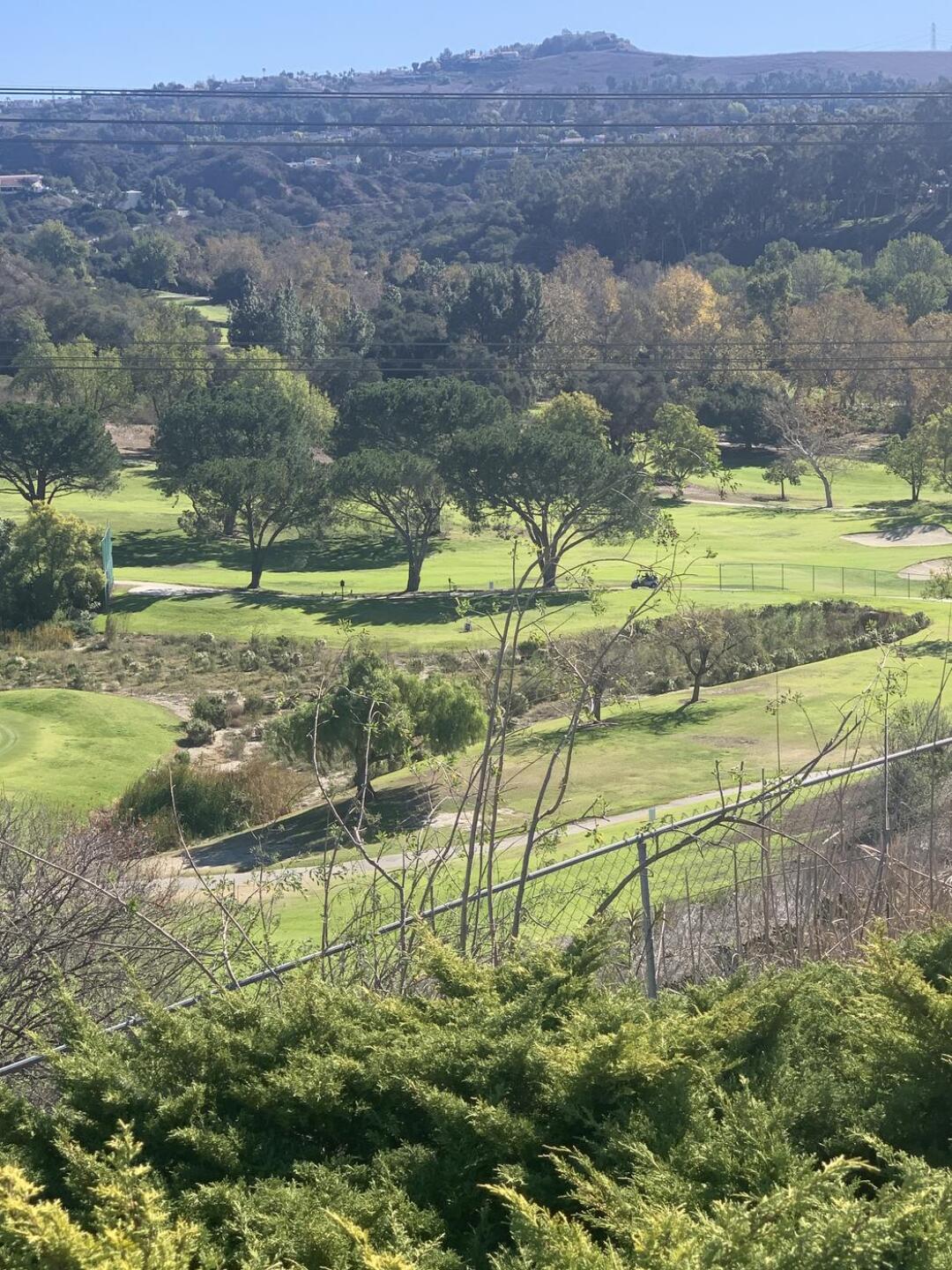 (Photo submitted by uooooo5747745 on 01/08/2022)