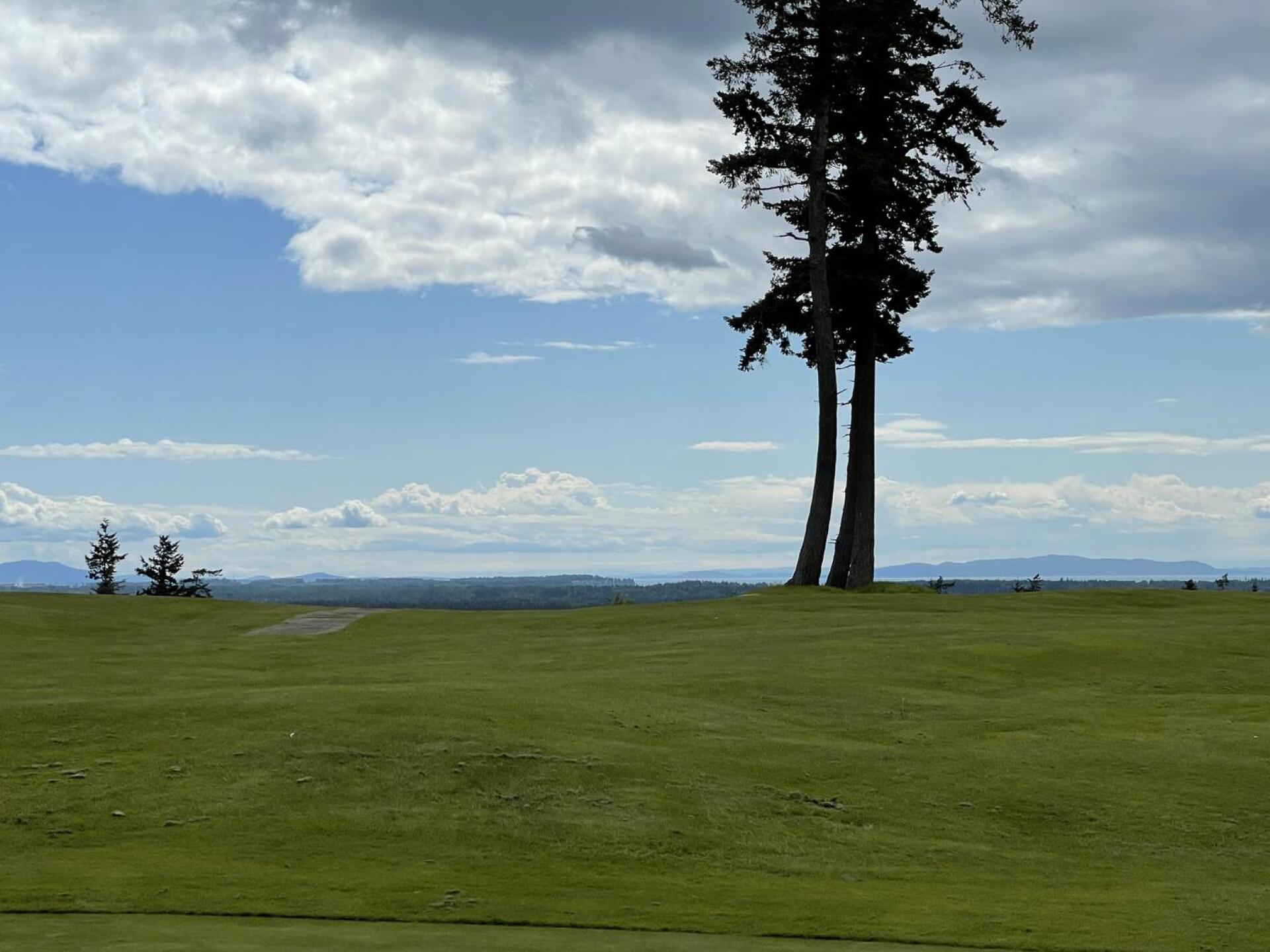 (Photo submitted by Drucifer5508 on 05/23/2022)