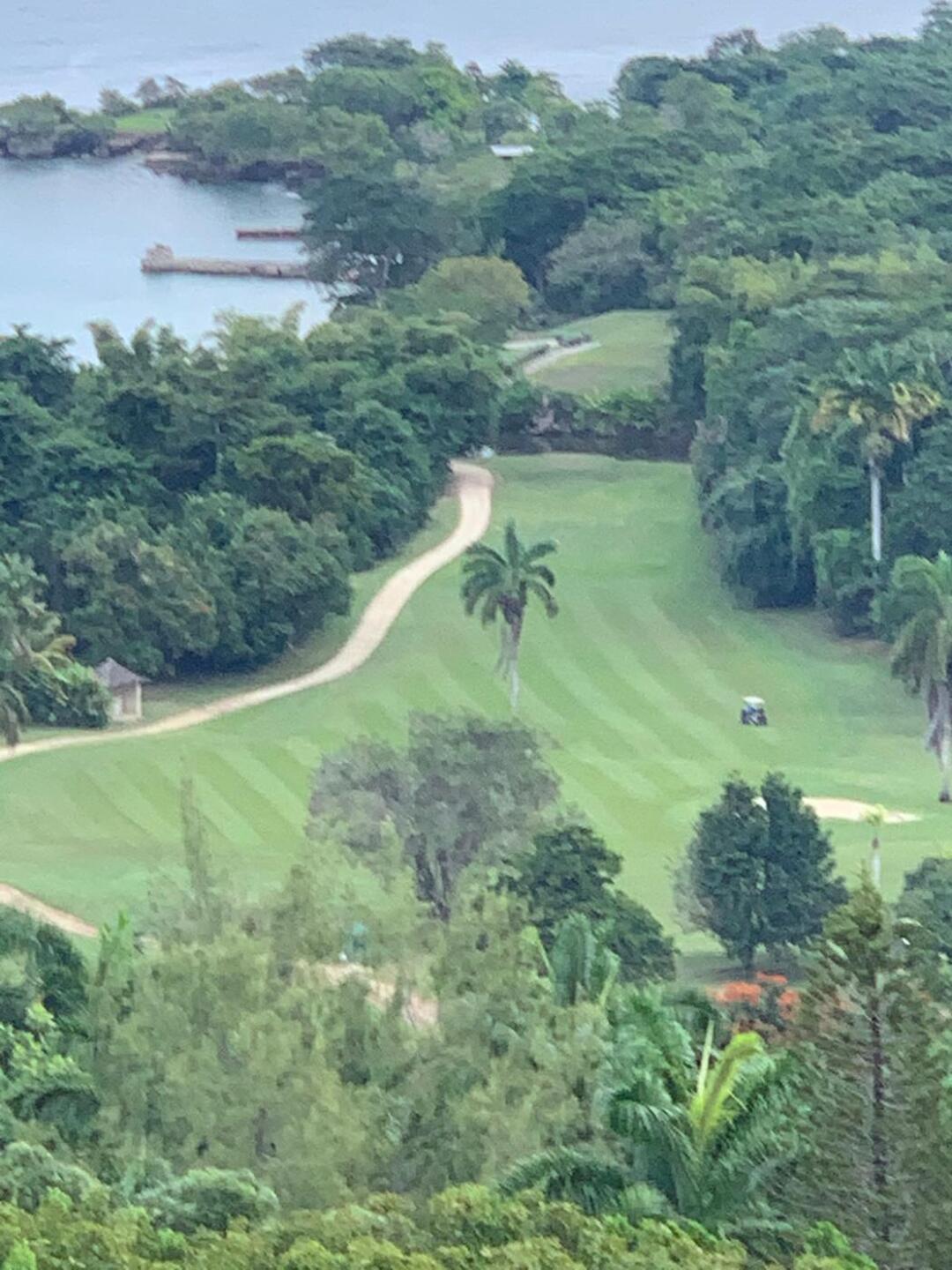 From villa (Photo submitted by DjwZt4aA1SqNE62tfFMy on 12/07/2019)