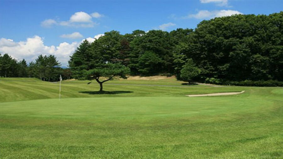 Great Sendai CC: #2