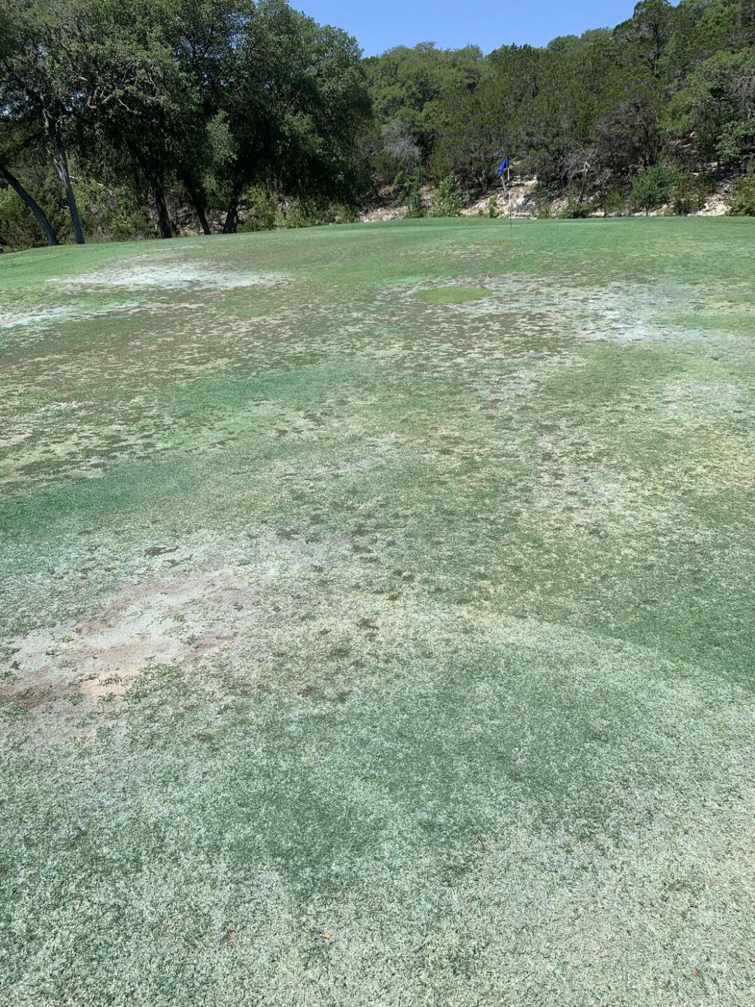 Fairway (Photo submitted by xsMGVYmcqZjmRtJurXKs on 06/12/2022)