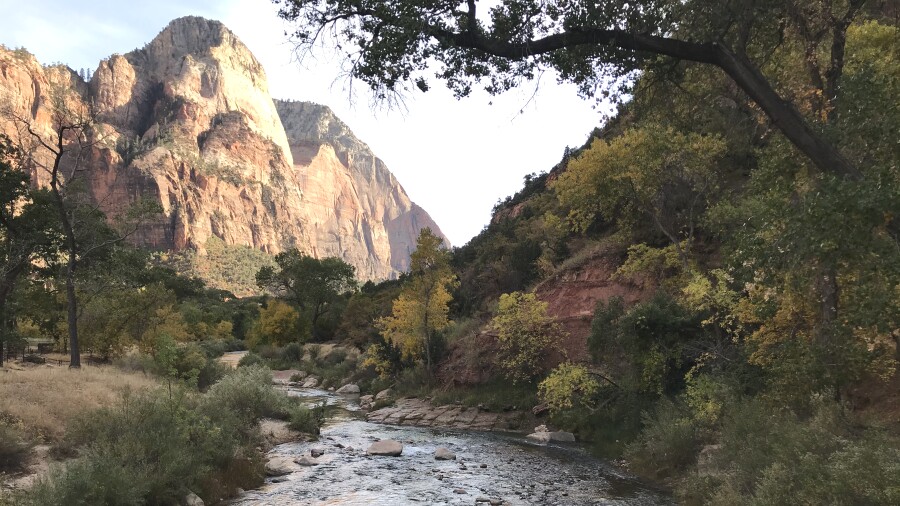 Zion National Park - Virgin River