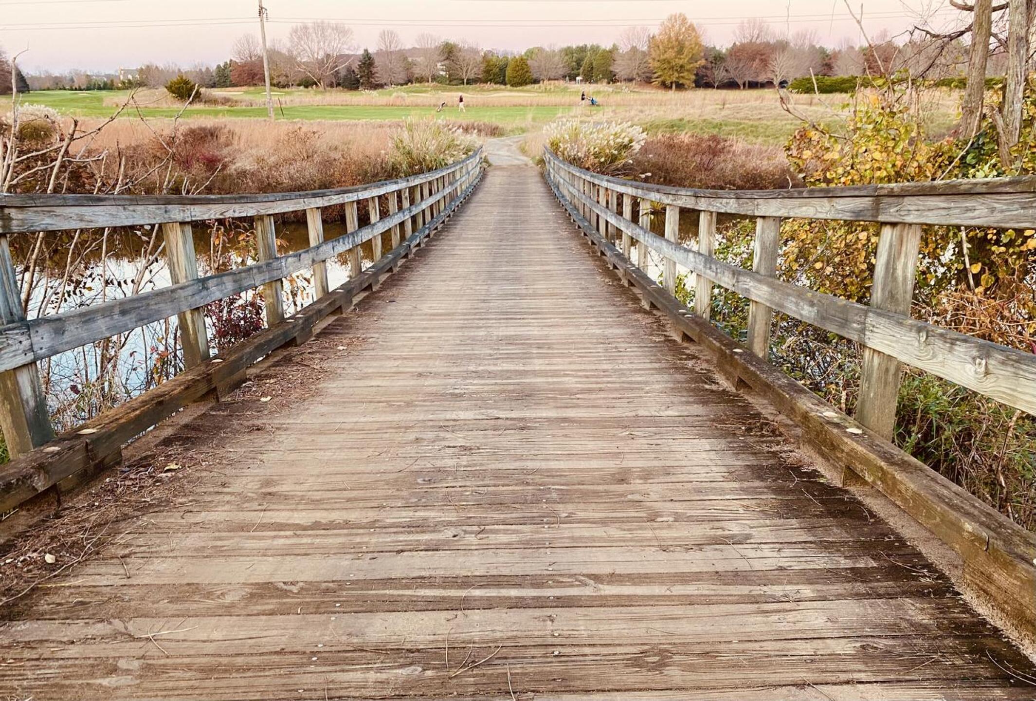 The bridge (Photo submitted by Joey6576753 on 11/15/2020)