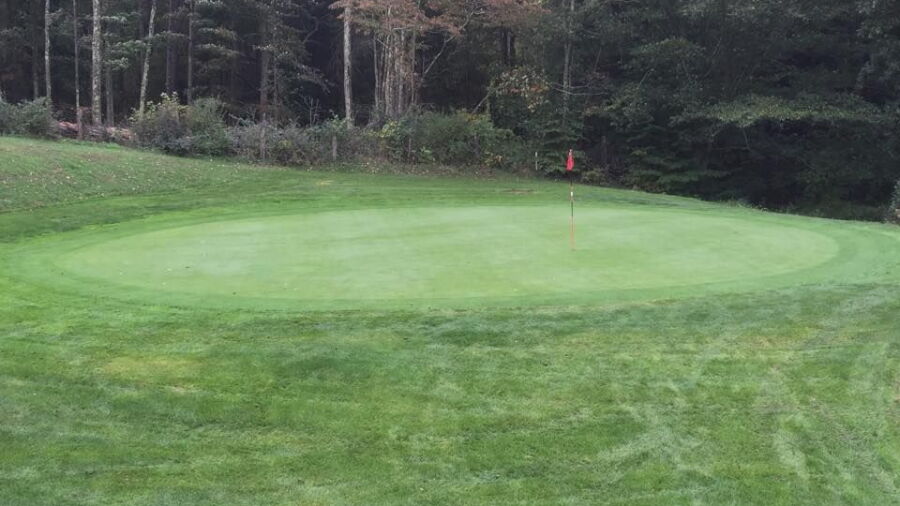 Bridge Haven GC: #12