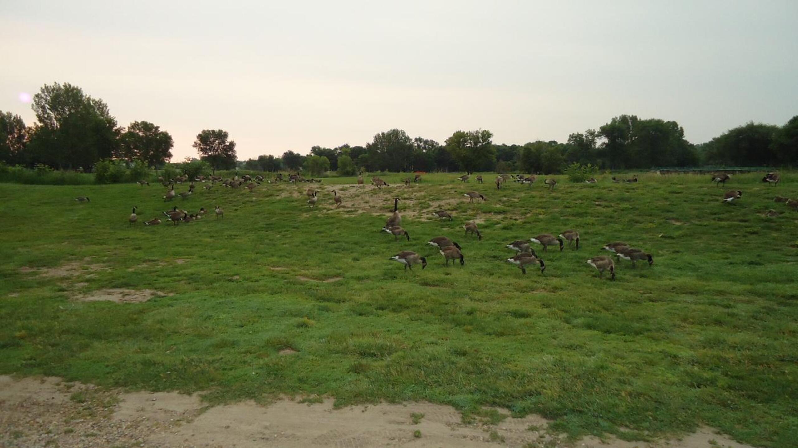 (Photo submitted by mtpingr on 09/11/2015)