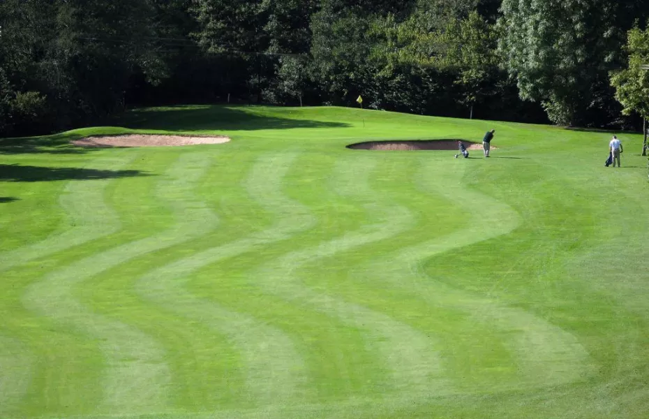 Oakridge GC: Fairway