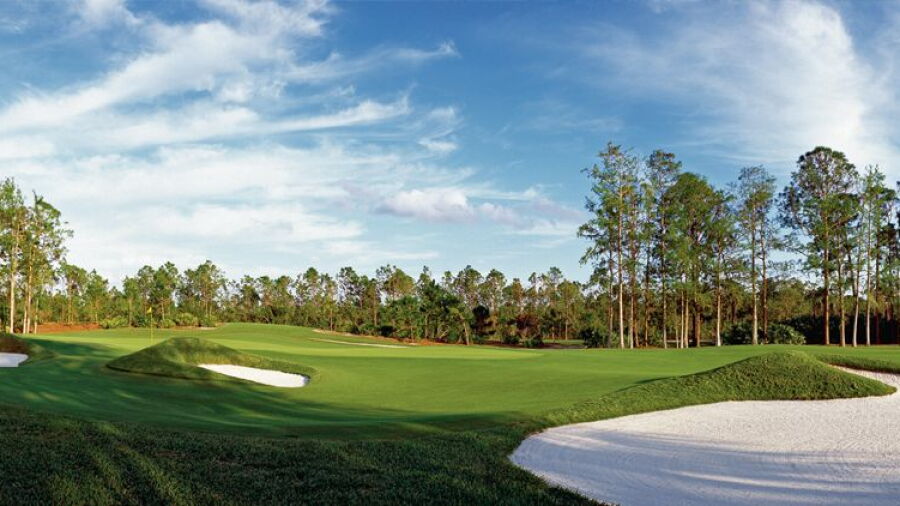Dye Preserve GC: #1