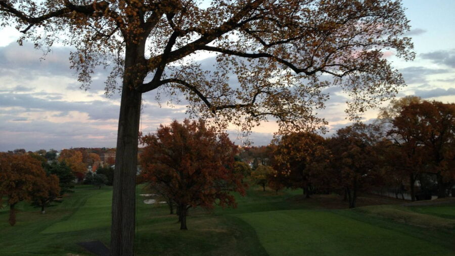 Forest Hill Field Club