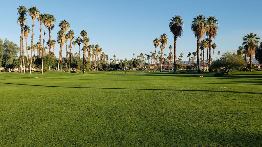 Mesquite GCC
