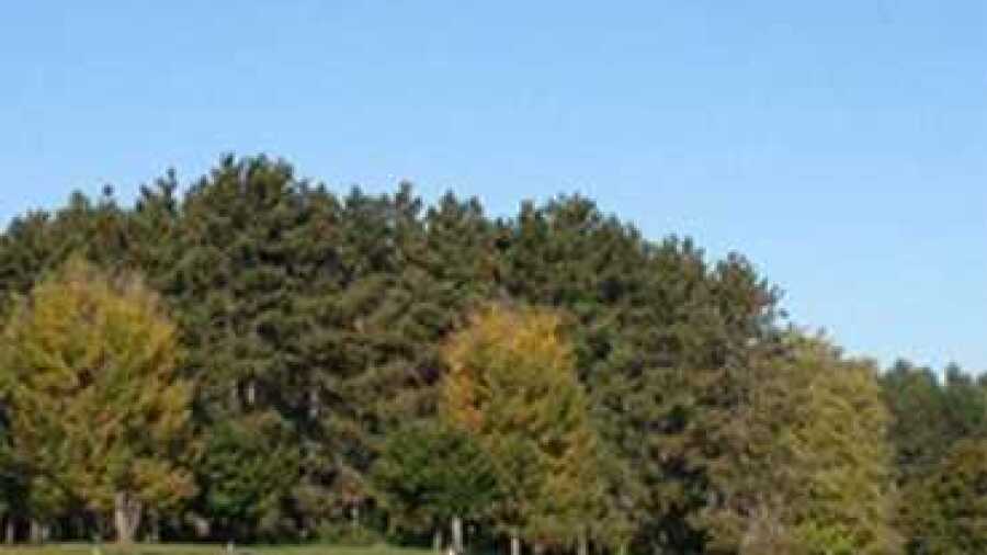 Kankakee Elks CC: #9