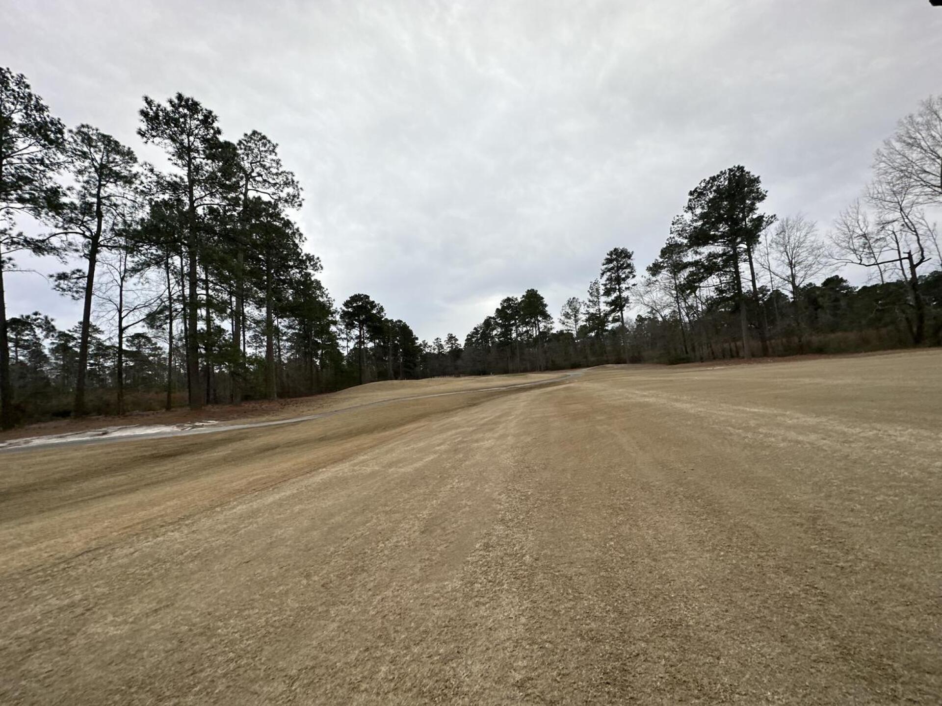 (Photo submitted by Amestdian on 01/22/2023)