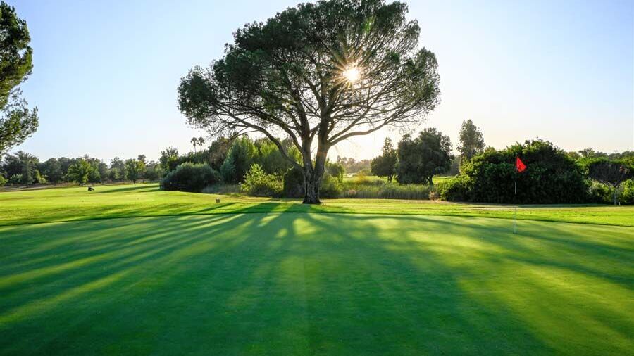Woodley Lakes GC