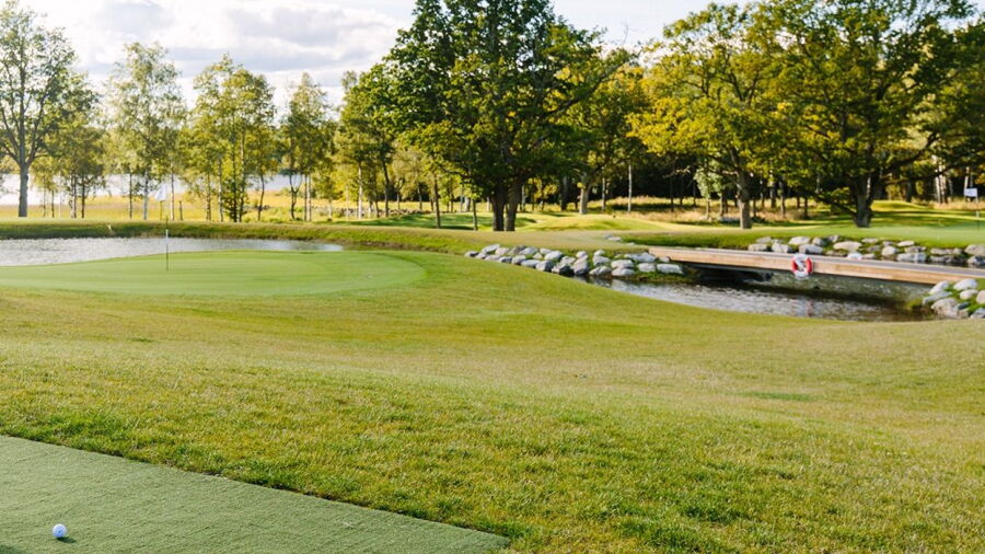 Vetlanda GC - Short: #8