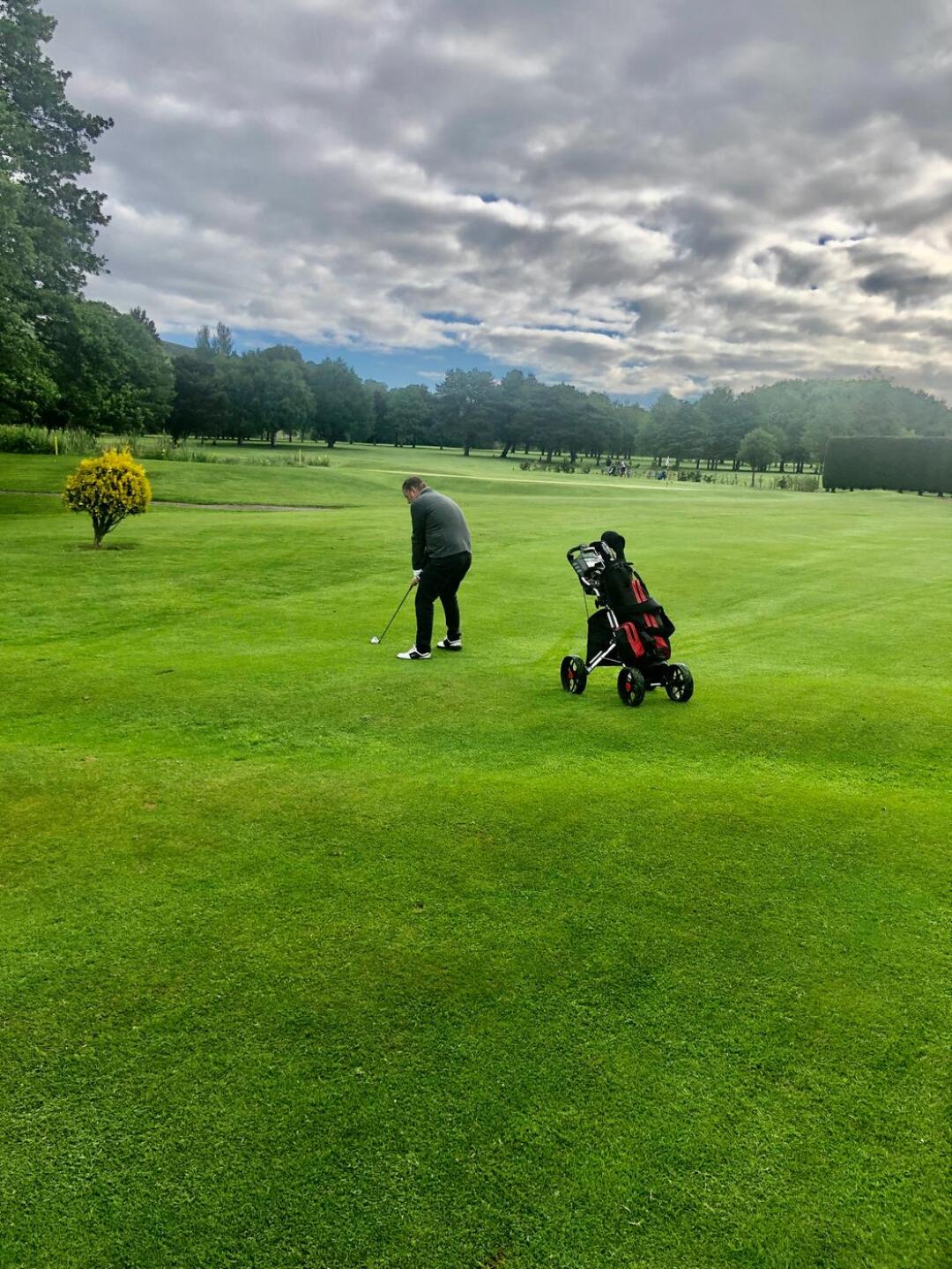 (Photo submitted by null on 07/12/2020)