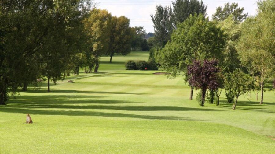 Phoenix GC: #10
