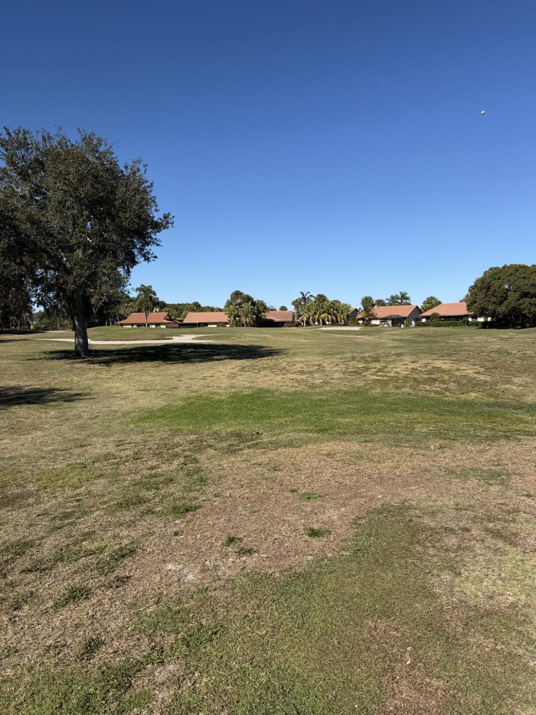 (Photo submitted by jkoehl12 on 01/01/2026)