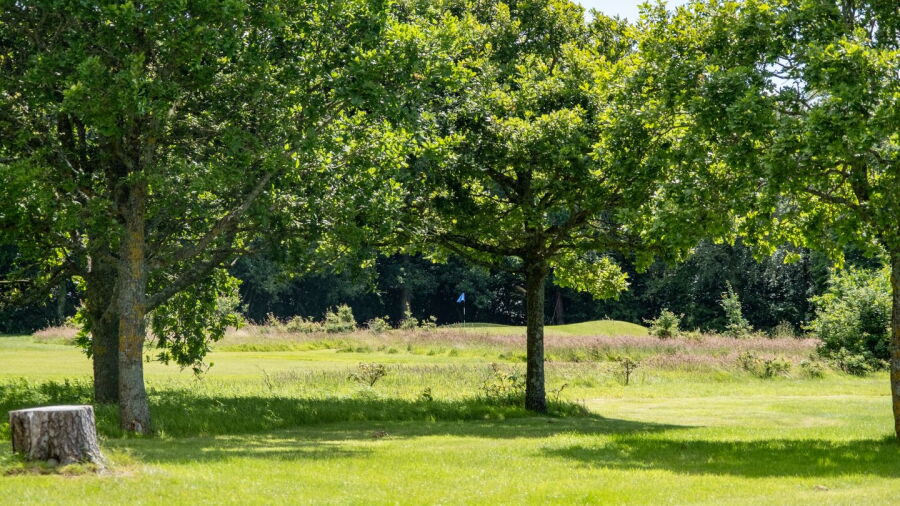 Hoburne Bashley GC