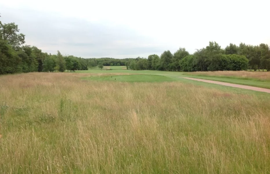 1st at Park Hill