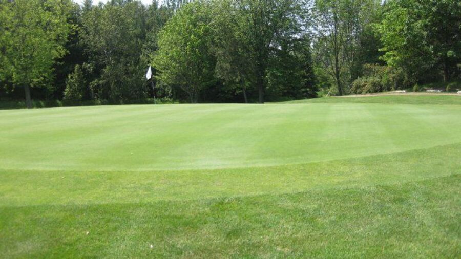 Newcastle GC
